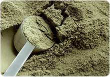 Supplement Facts Panel